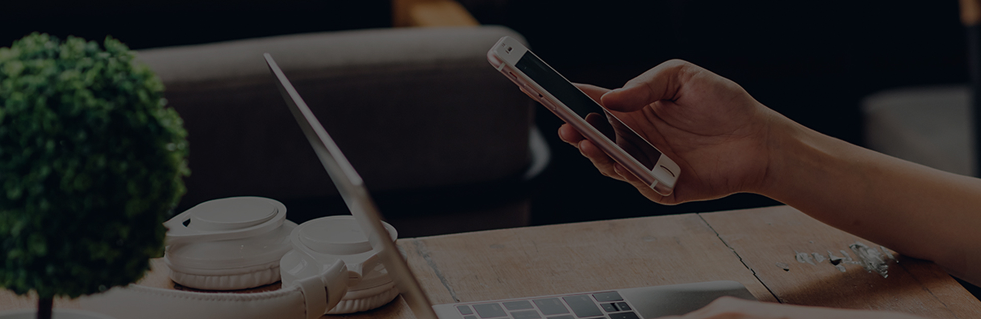 জিয়াক্সিং ডিংশি মেশিনারি ম্যানুফ্যাকচারিং কোং, লি.