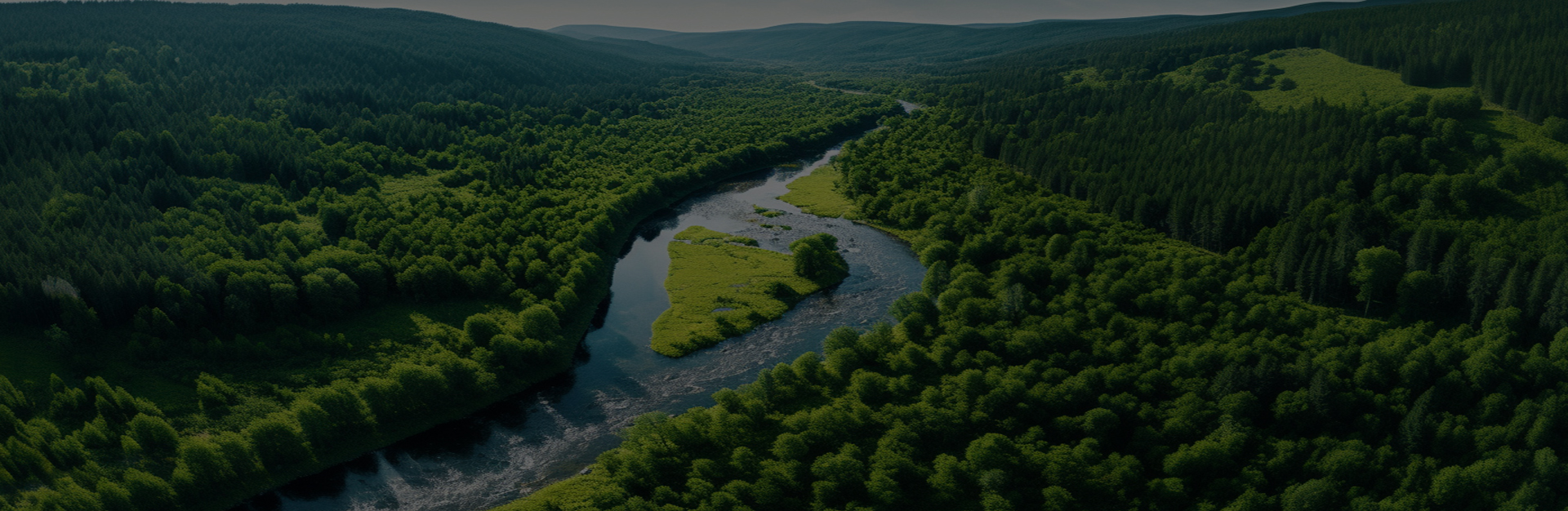 জিয়াক্সিং ডিংশি মেশিনারি ম্যানুফ্যাকচারিং কোং, লি.