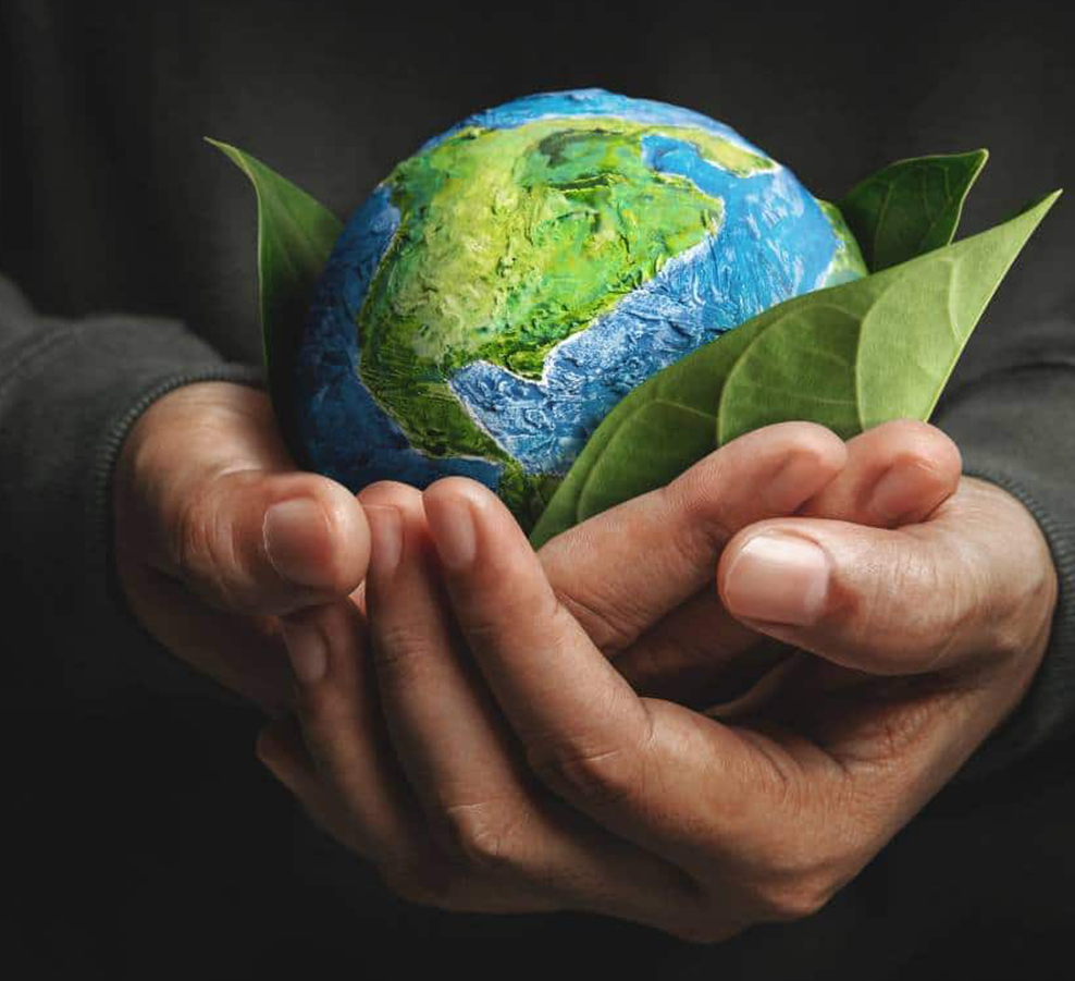 জিয়াক্সিং ডিংশি মেশিনারি ম্যানুফ্যাকচারিং কোং, লি.